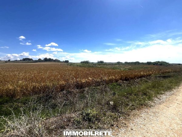 terreno agricolo in vendita ad Altamura