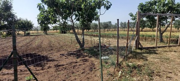 terreno agricolo in vendita ad Altamura in zona Madonna del Buon Cammino