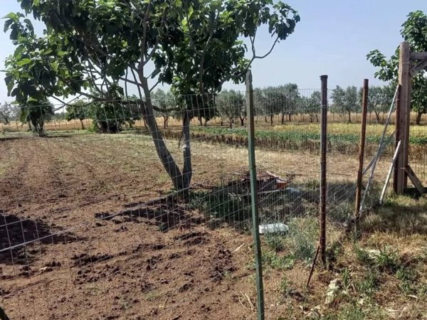 terreno agricolo in vendita ad Altamura in zona Madonna del Buon Cammino