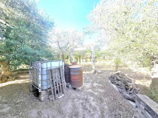 casa semindipendente in vendita ad Altamura