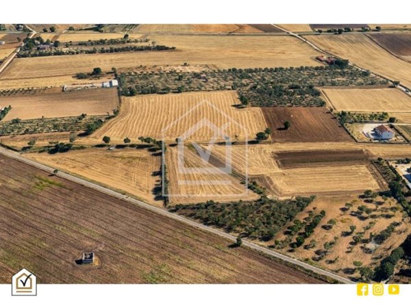 terreno agricolo in vendita ad Altamura