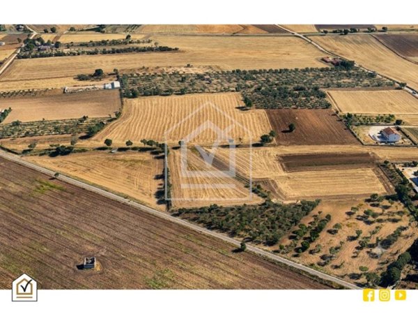 terreno agricolo in vendita ad Altamura