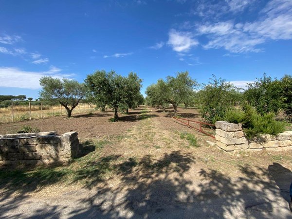 terreno agricolo in vendita ad Altamura in zona Centro Storico