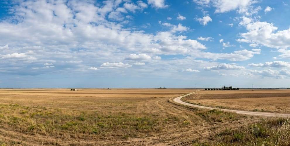 terreno agricolo in vendita ad Altamura in zona Stazione Ferroviaria