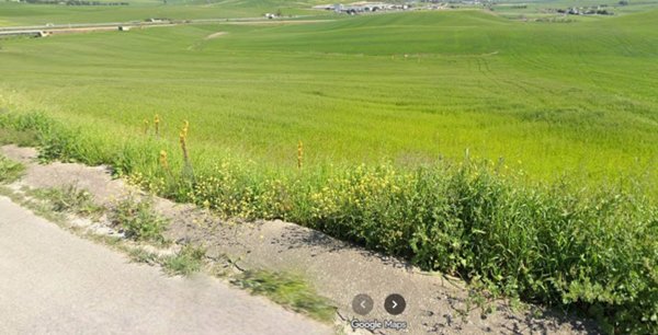 terreno agricolo in vendita ad Altamura in zona Centro Storico