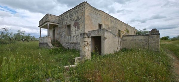 azienda agricola in vendita ad Altamura