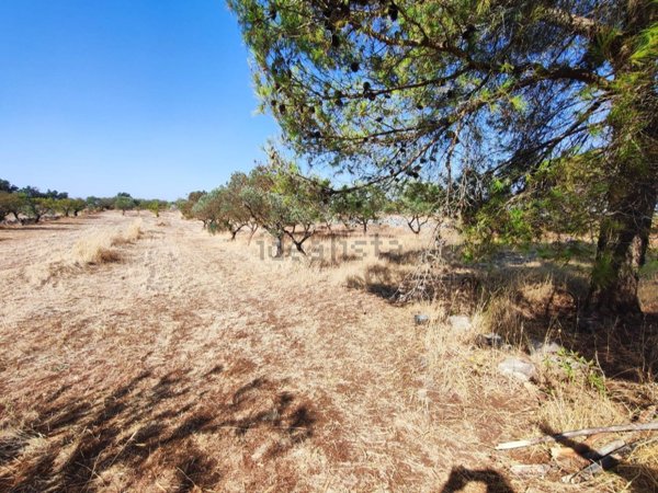 terreno in vendita ad Altamura