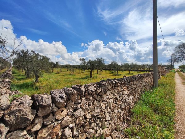terreno in vendita ad Altamura in zona Centro Storico