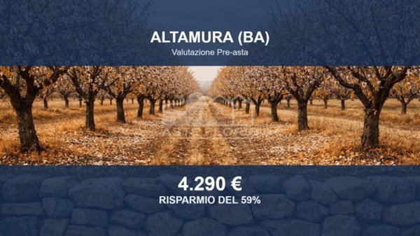 terreno agricolo in vendita ad Altamura
