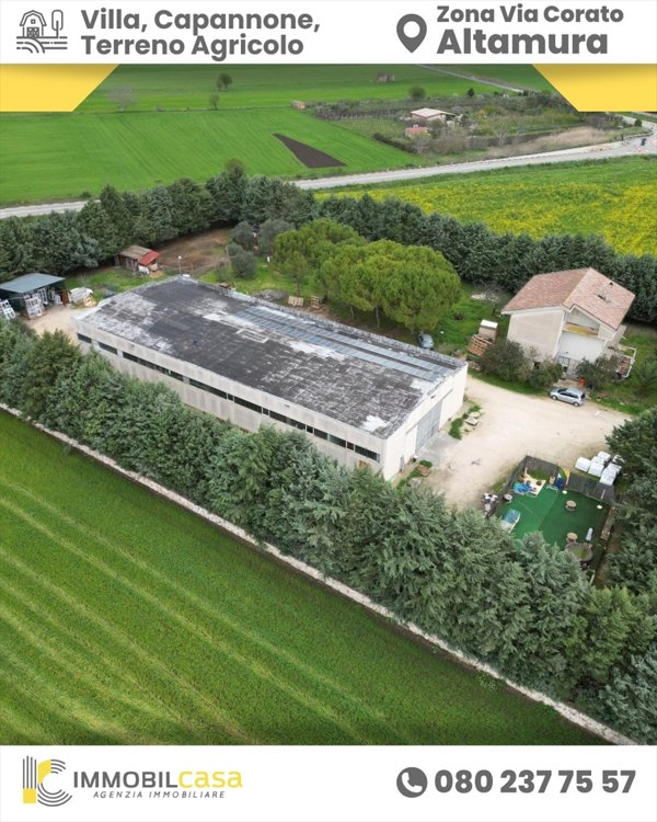 casa indipendente in vendita ad Altamura