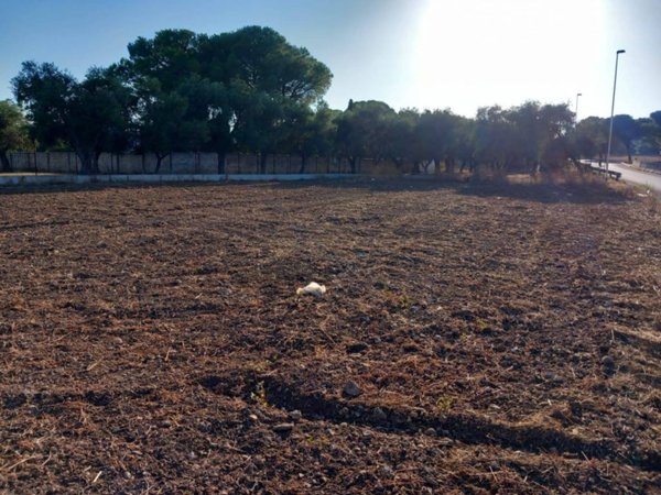 terreno agricolo in vendita a Bari in zona Carbonara