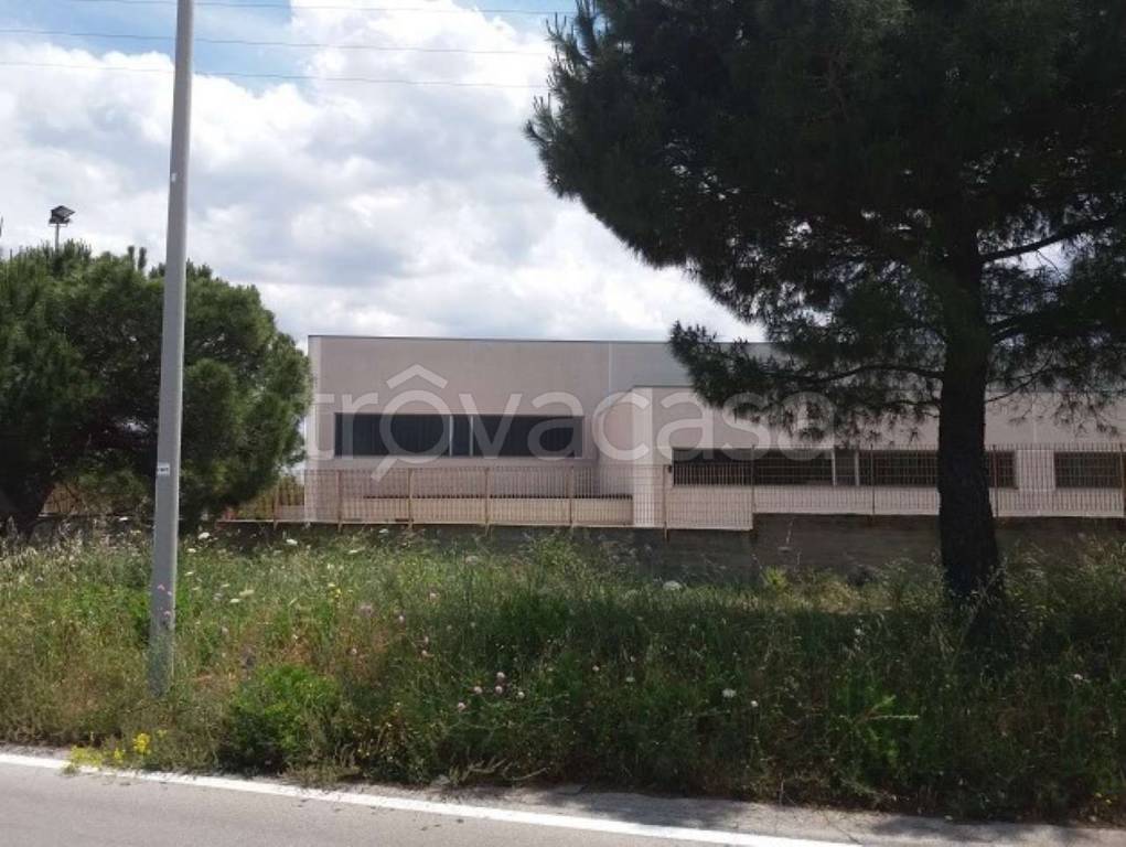 capannone in vendita a Bari in zona Stanic