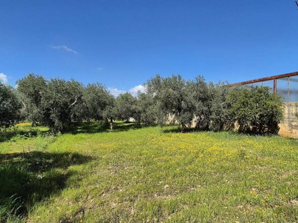 terreno agricolo in vendita a Bari in zona Ceglie del Campo