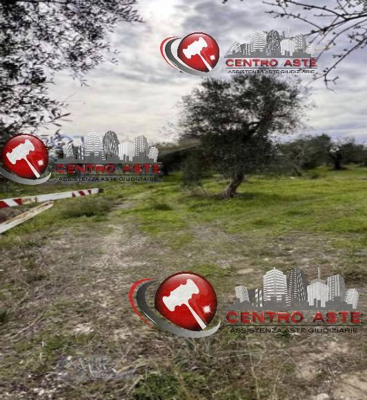 casa indipendente in vendita a Bari in zona Japigia