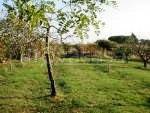 terreno agricolo in vendita a Bari in zona Poggiofranco