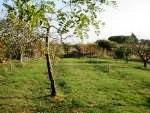 terreno agricolo in vendita a Bari in zona Poggiofranco