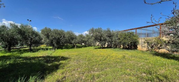 terreno agricolo in vendita a Bari in zona Carbonara