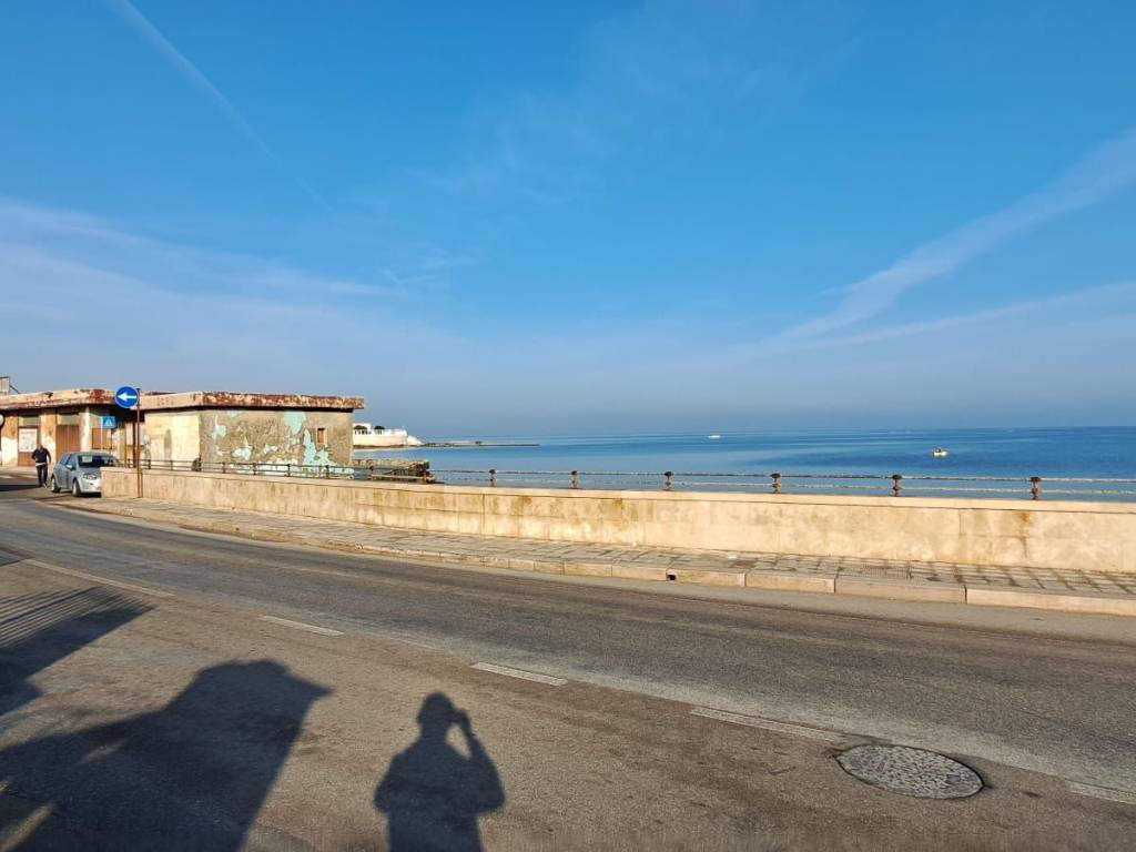 immagine annuncio 0 di 15