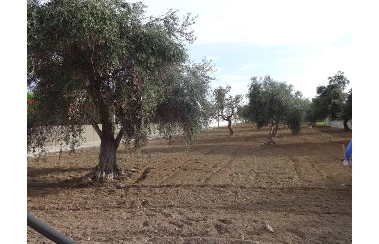 terreno agricolo in vendita a Bari in zona Carbonara