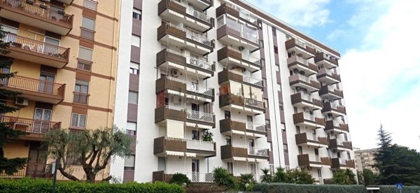 appartamento in vendita a Bari in zona Loseto