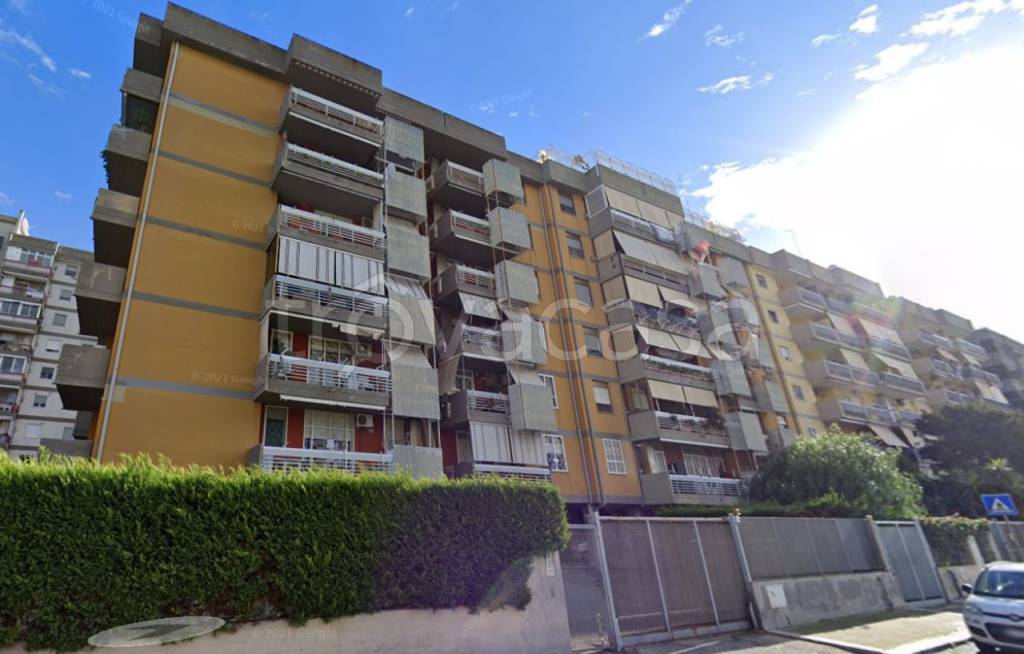 appartamento in vendita a Bari in zona Loseto