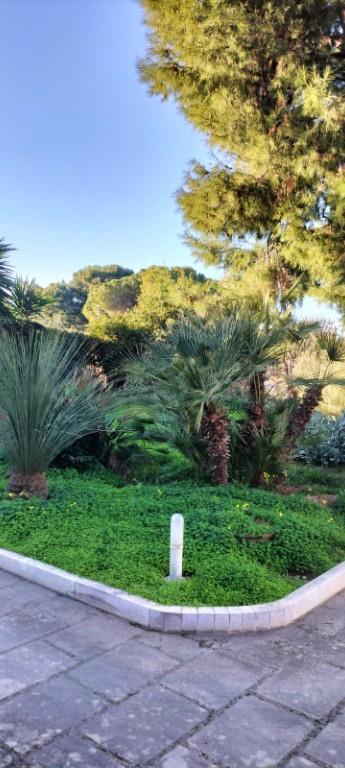 casa indipendente in vendita a Bari in zona Carrassi
