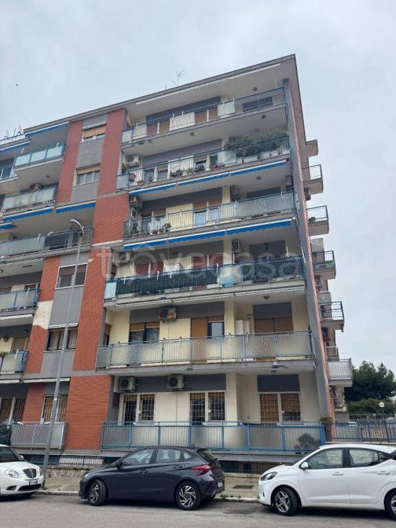 appartamento in vendita a Bari in zona Japigia