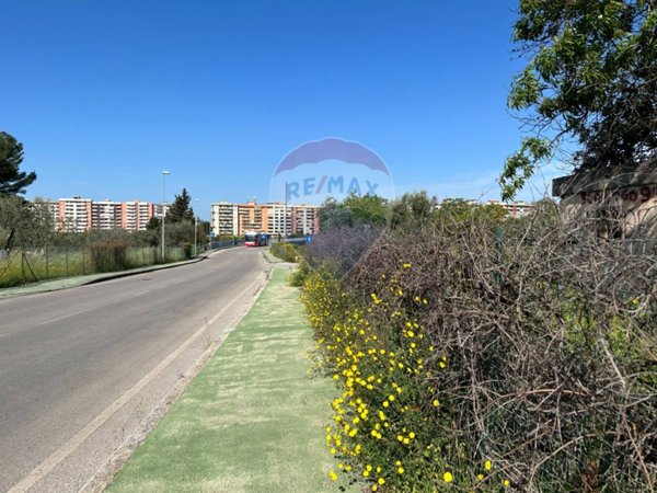 terreno agricolo in vendita a Bari in zona Ceglie del Campo