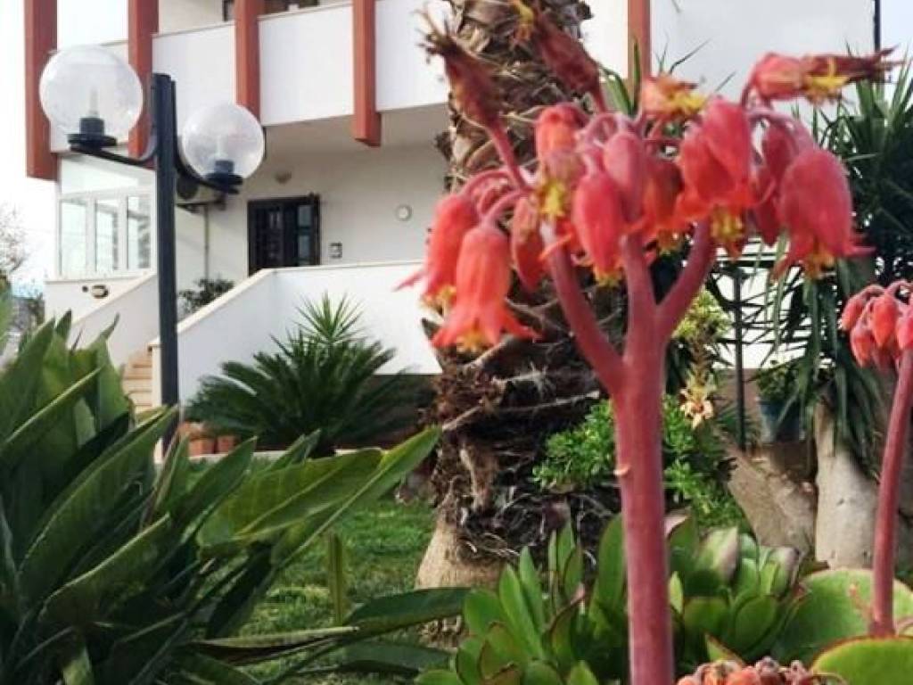 casa indipendente in vendita a Bari in zona Loseto