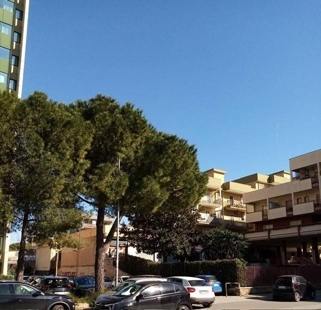 appartamento in vendita a Bari in zona Poggiofranco