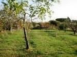 terreno agricolo in vendita a Bari in zona Poggiofranco