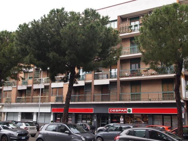 appartamento in vendita a Bari in zona Poggiofranco