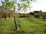 terreno agricolo in vendita a Bari in zona Poggiofranco