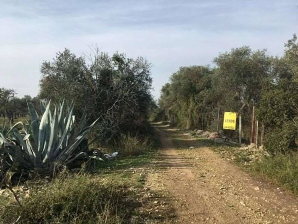 terreno agricolo in vendita a Bari in zona Ceglie del Campo