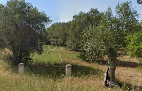 terreno agricolo in vendita a Bari in zona San Paolo