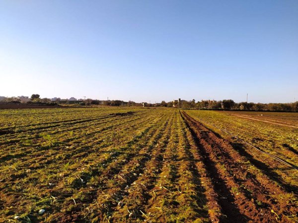 terreno agricolo in vendita a Bari in zona Poggiofranco