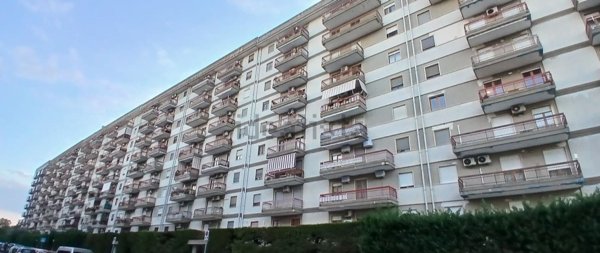 appartamento in vendita a Bari in zona Loseto