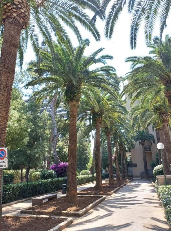 appartamento in vendita a Bari in zona Picone