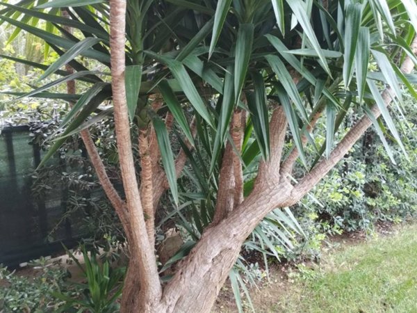 casa indipendente in vendita a Bari in zona Japigia