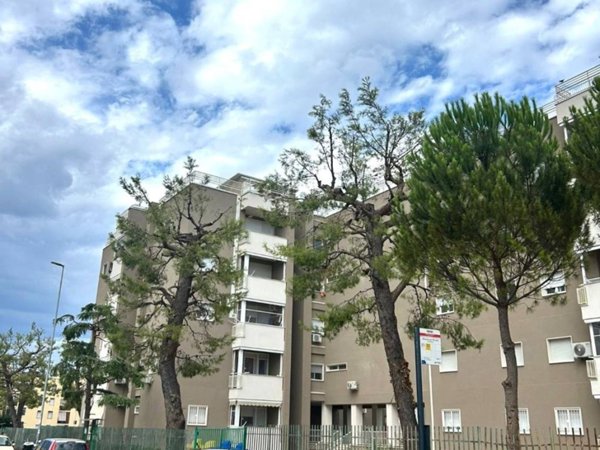 appartamento in vendita a Bari