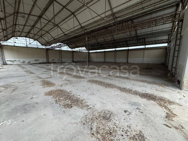 capannone in vendita a Bari in zona Stanic