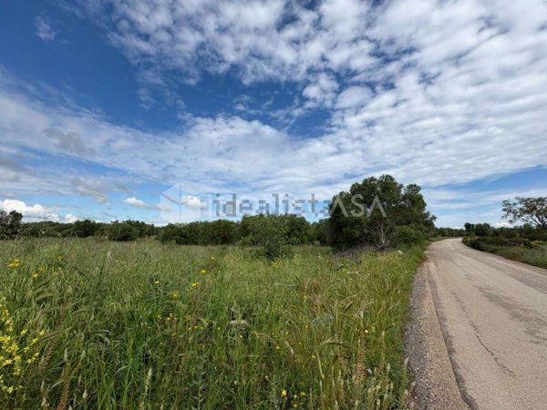 terreno edificabile in vendita a Bari
