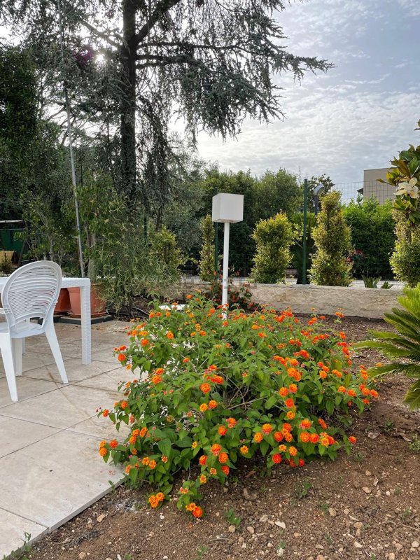 casa indipendente in vendita a Bari in zona Palese/Macchie