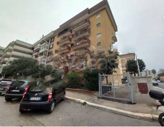 appartamento in vendita a Bari in zona Japigia