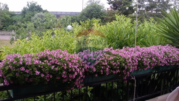 casa indipendente in vendita a Bari in zona Palese/Macchie