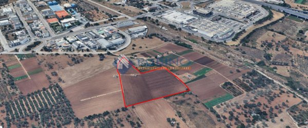 esavano in vendita a Bari