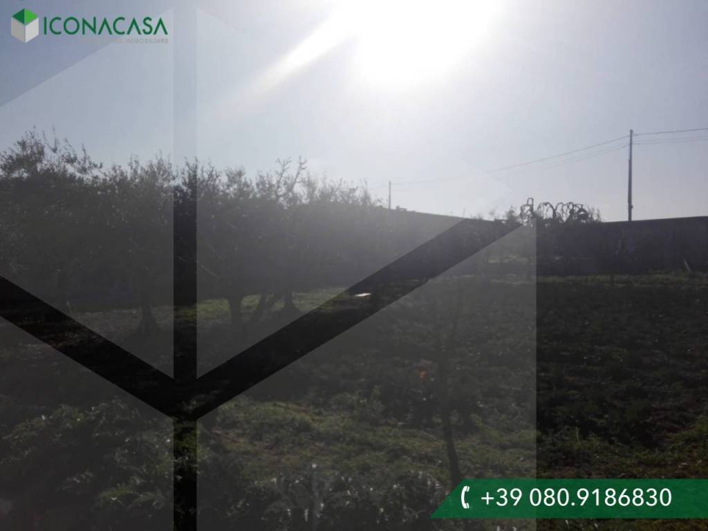 casa indipendente in vendita a Bari in zona Città Vecchia