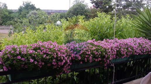 casa indipendente in vendita a Bari in zona Palese/Macchie