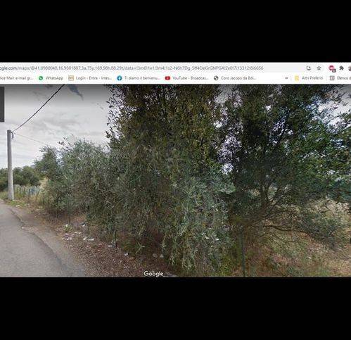 terreno agricolo in vendita a Bari in zona San Giorgio