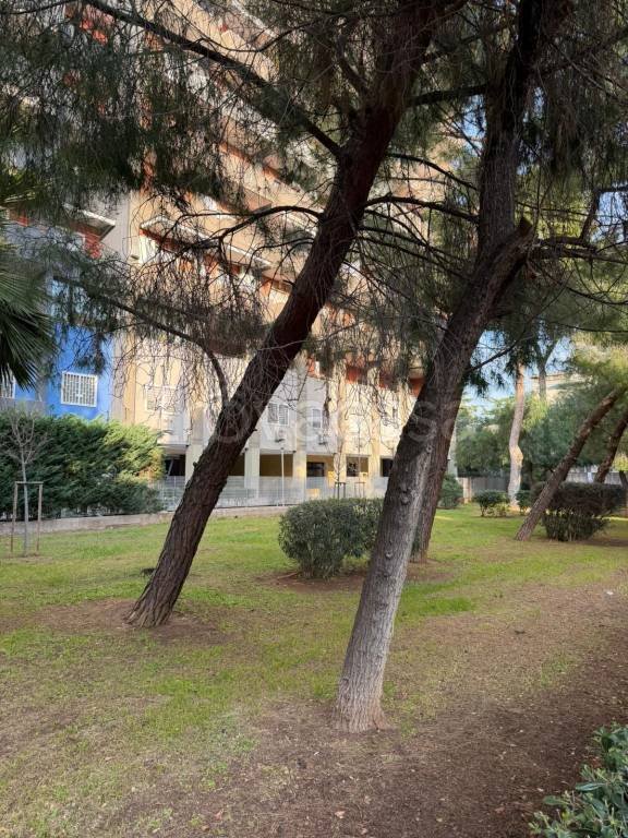 appartamento in vendita a Bari in zona Poggiofranco
